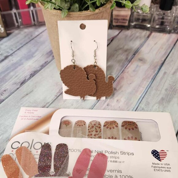 Retired Color Street Nail Set- Thanksgiving - Picture 1 of 6